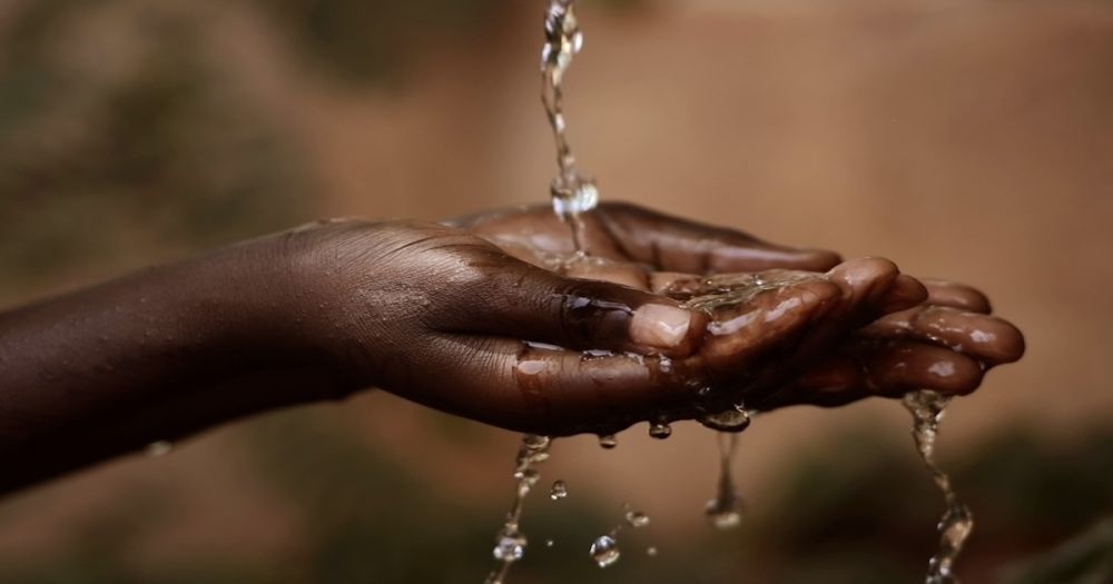 Jamaica's Urban Farmers Adapt to Climate Change with Innovative Solutions