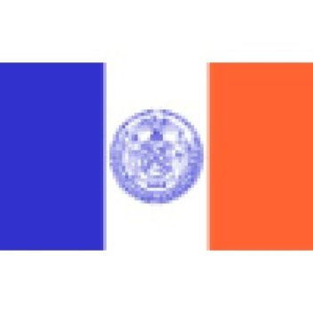 New York City Government